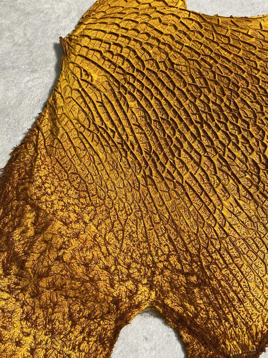 画像4: 牛革　ハチノス(牛の胃袋)　イエロー (4)