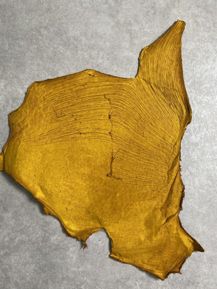 画像7: 牛革　ハチノス(牛の胃袋)　イエロー (7)