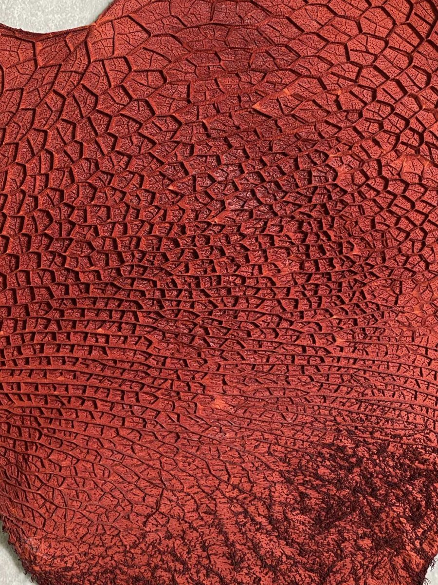 画像2: 牛革　ハチノス(牛の胃袋)　赤茶 (2)