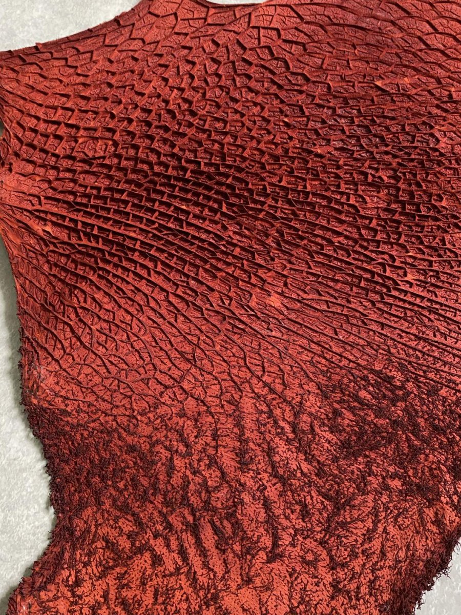 画像4: 牛革　ハチノス(牛の胃袋)　赤茶 (4)