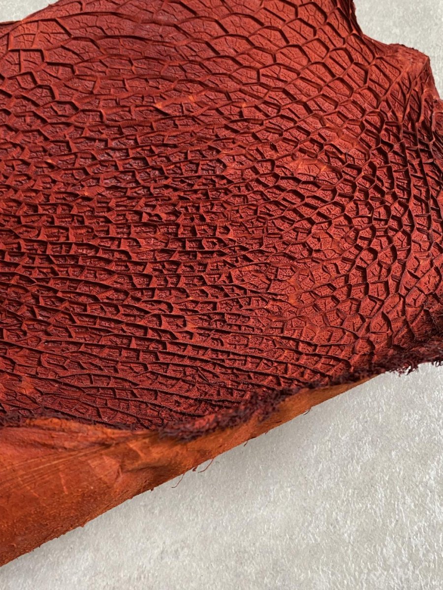 画像5: 牛革　ハチノス(牛の胃袋)　赤茶 (5)