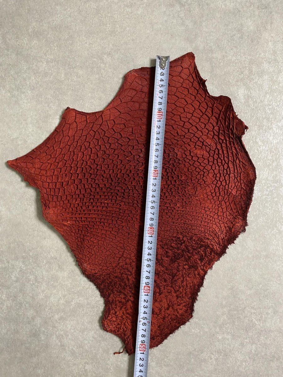 画像6: 牛革　ハチノス(牛の胃袋)　赤茶 (6)