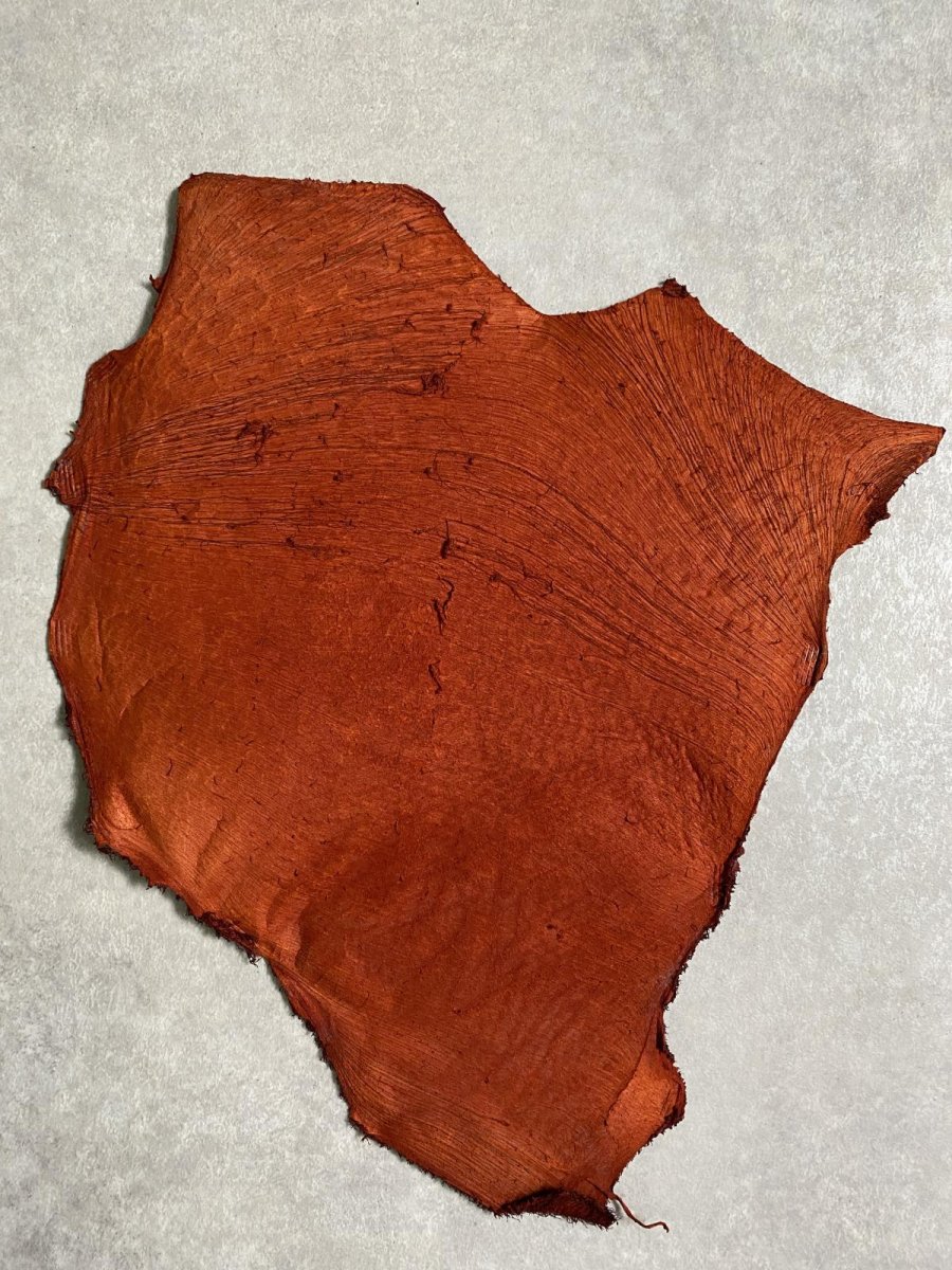 画像7: 牛革　ハチノス(牛の胃袋)　赤茶 (7)