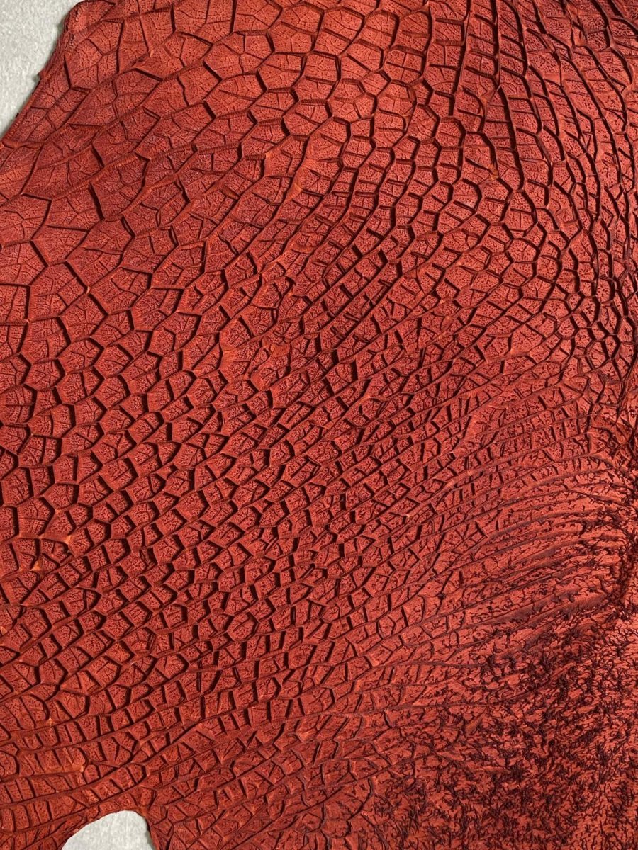 画像2: 牛革 ハチノス(牛の胃袋) 赤茶 (2)