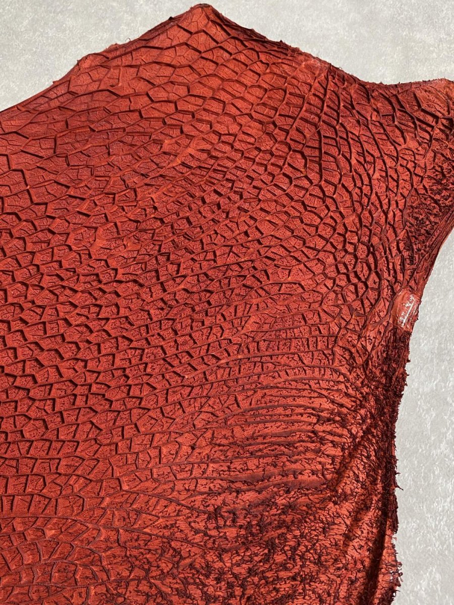 画像3: 牛革 ハチノス(牛の胃袋) 赤茶 (3)