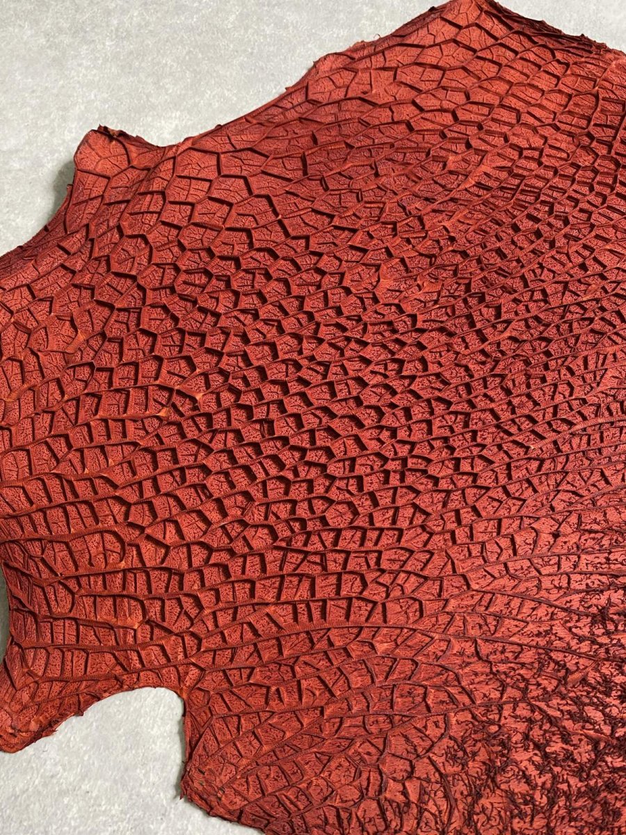 画像4: 牛革 ハチノス(牛の胃袋) 赤茶 (4)