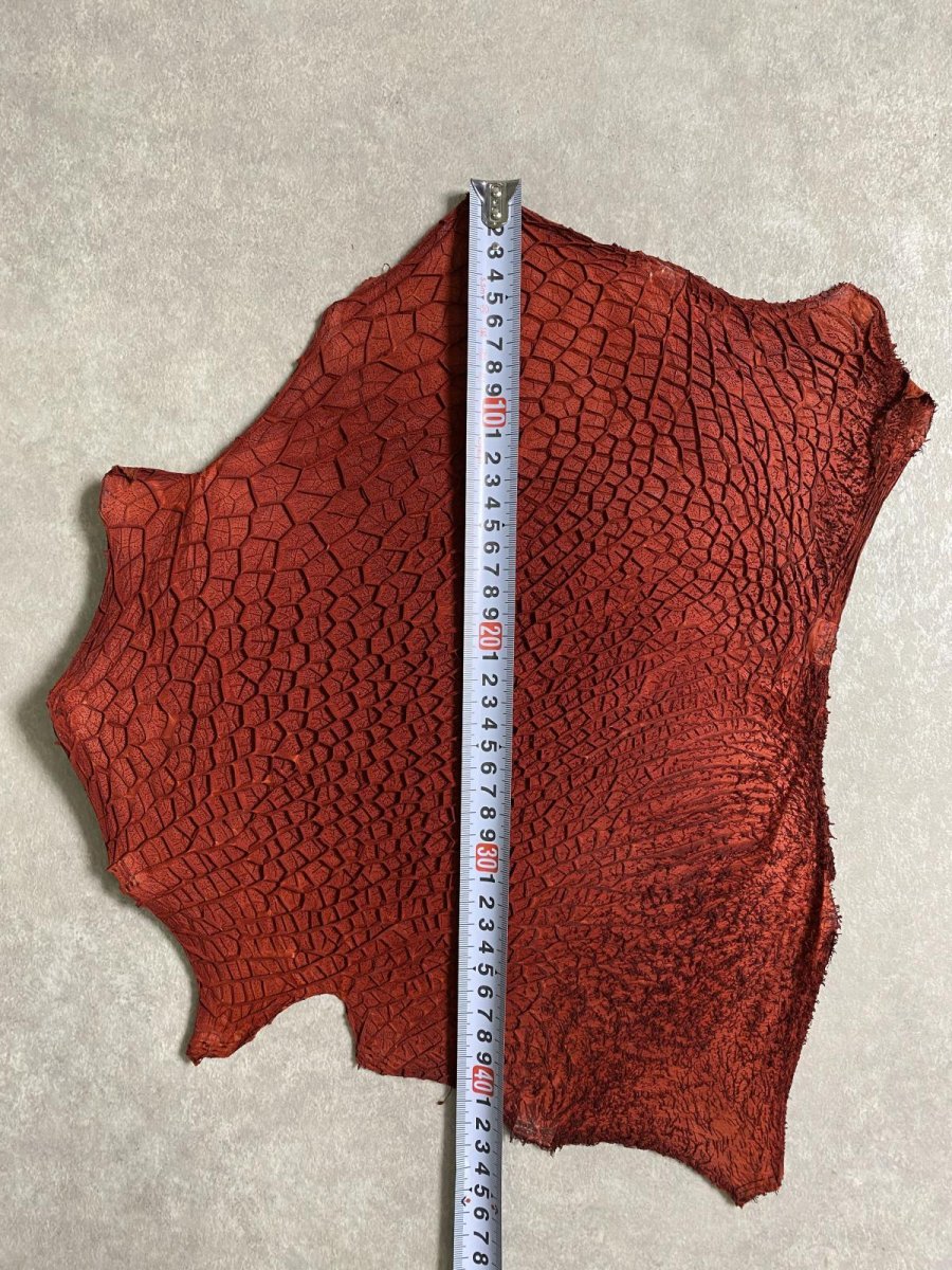 画像5: 牛革 ハチノス(牛の胃袋) 赤茶 (5)