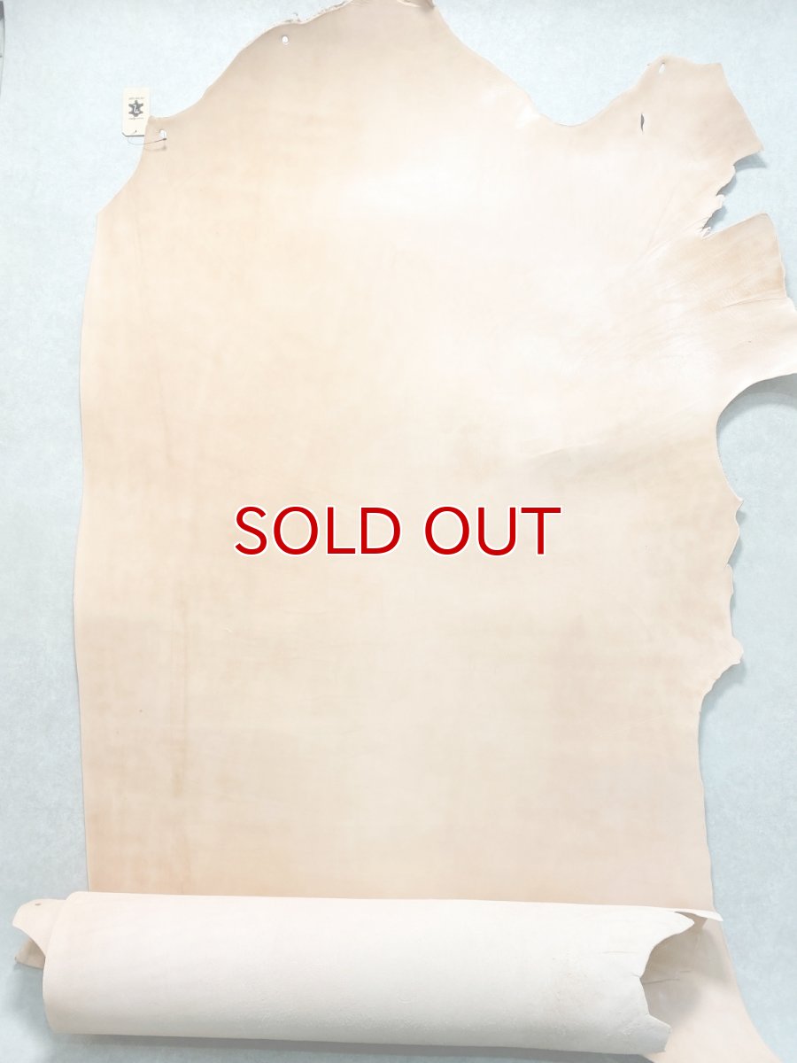 画像1: 栃木レザーCLASSIC 　ヌメ革　タンニンなめし　ピット槽 (1)