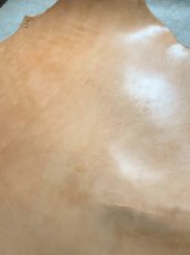 画像7: 牛革   ヌメ　栃木レザー　タンニンなめし　 (7)