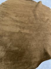 画像5: ベロア丸革　ブラウン (5)