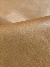 画像8: 牛革　アレグリアバッファロー　キャメル　レザー (8)