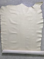 画像1: 牛革　Mシーラ　コブウシ　オフホワイト　こぶ牛　レザー (1)