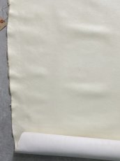 画像4: 牛革　Mシーラ　コブウシ　オフホワイト　こぶ牛　レザー (4)