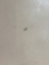 画像12: 牛革   ニッピヌメ　栃木レザー　タンニン (12)