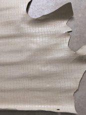 画像8: 牛革　クロコダイル型押し  ベージュ　レザー (8)