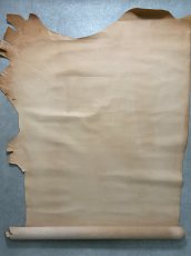画像2: 牛革   オイルヌメ革　薄口　タンニン (2)