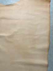 画像8: 牛革   オイルヌメ革　薄口　タンニン (8)