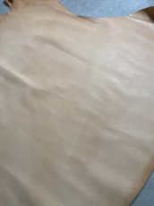 画像5: 牛革   オイルヌメ革　薄口　タンニン (5)