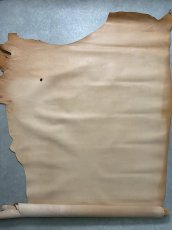画像2: 牛革   ヌメ革　薄口　ヌメ革　タンニン (2)