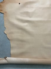 画像9: 牛革   ヌメ革　薄口　ヌメ革　タンニン (9)