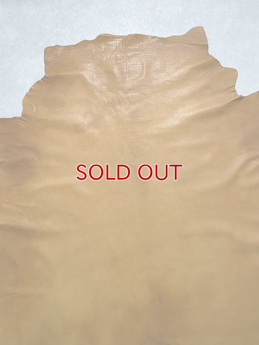 画像4: 牛革　ソフトバッファロー　キャメル　レザー (4)