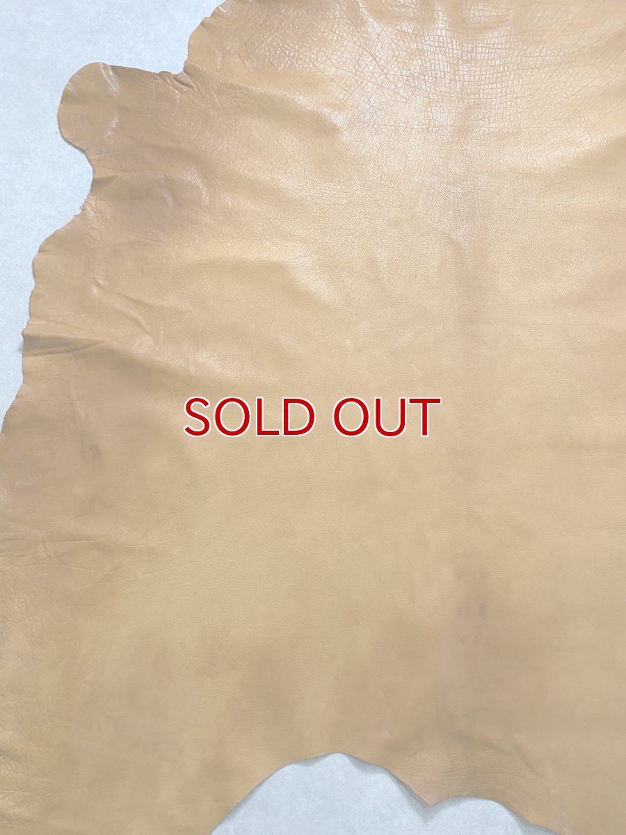 画像7: 牛革　ソフトバッファロー　キャメル　レザー (7)