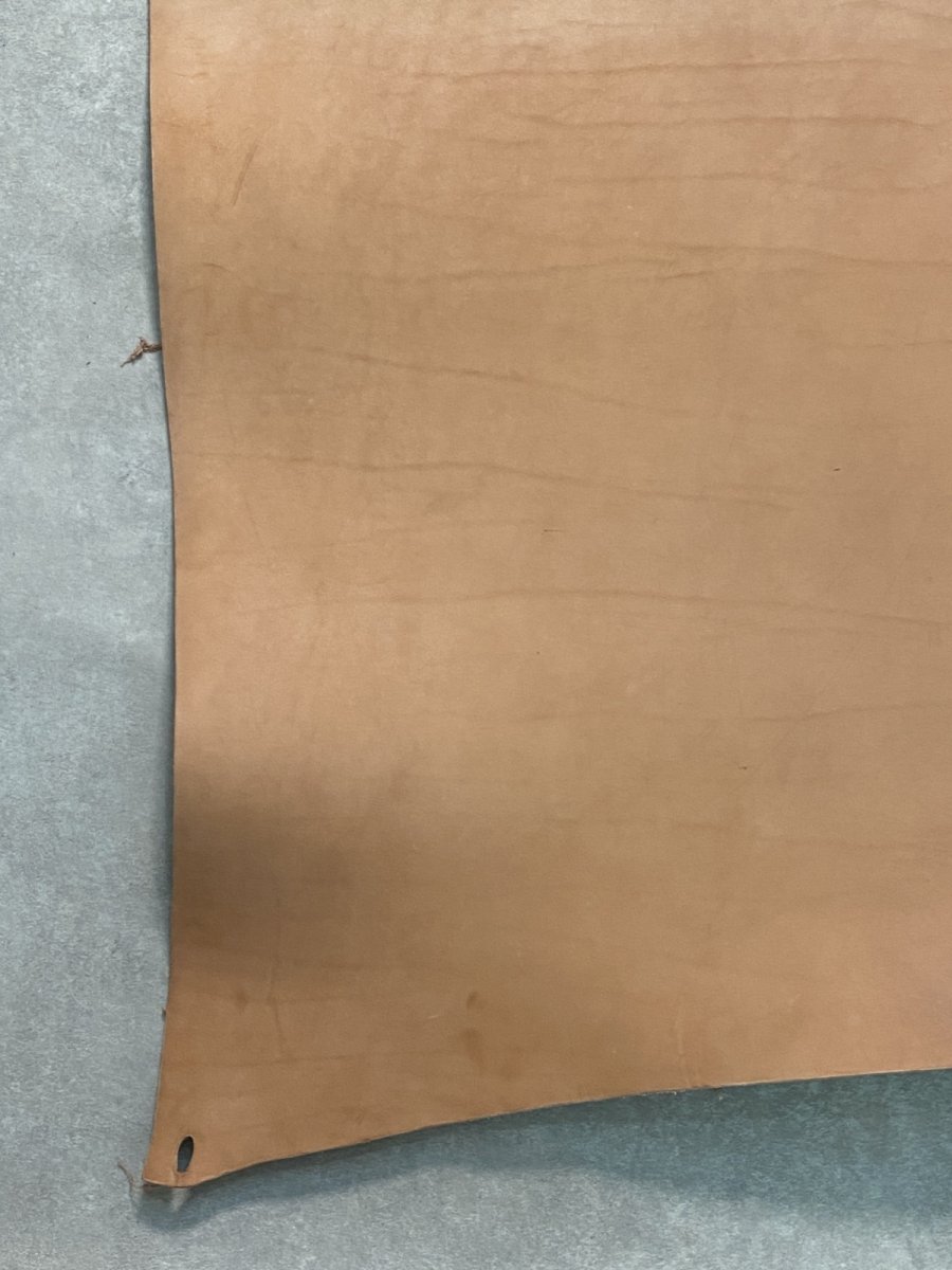 画像6: 牛革   ヌメ　昭南ベンズ　タンニンなめし　ピットヌメ (6)