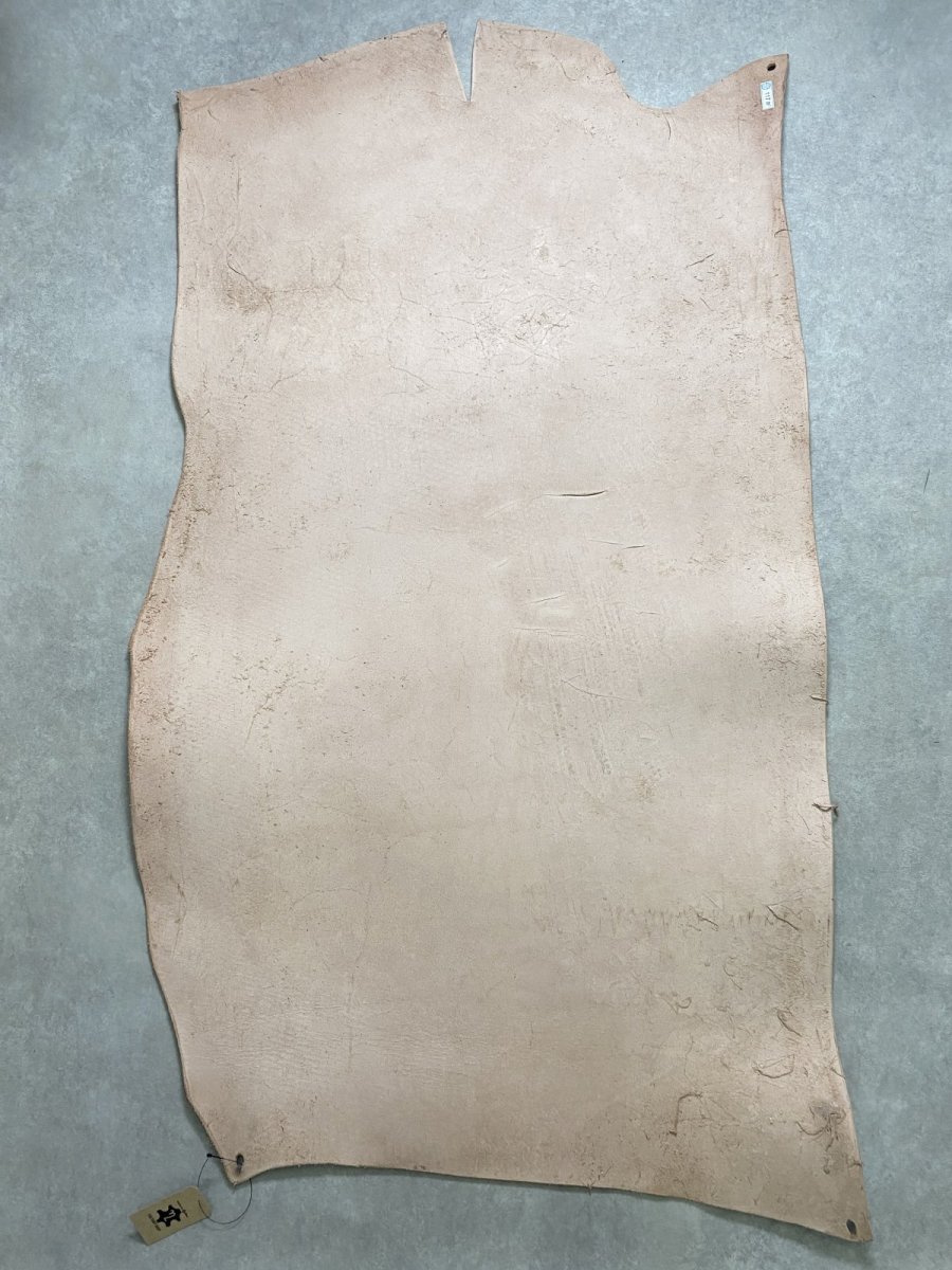 画像11: 牛革   ヌメ　昭南ベンズ　タンニンなめし　ピットヌメ (11)