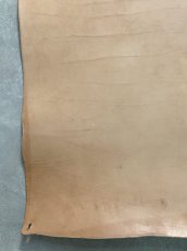 画像6: 牛革   ヌメ　昭南ベンズ　タンニンなめし　ピットヌメ (6)