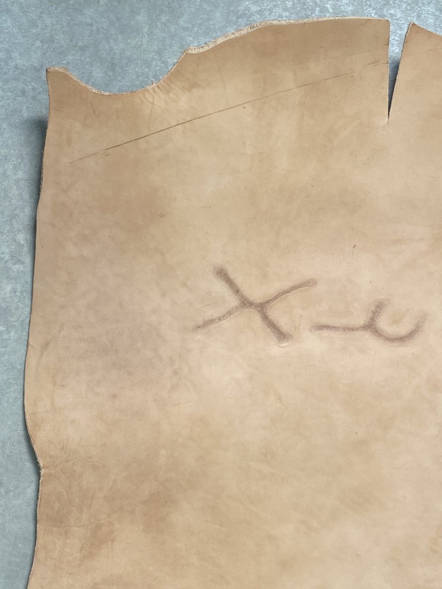 画像2: 牛革   ヌメ　昭南ベンズ　タンニンなめし　ピットヌメ (2)