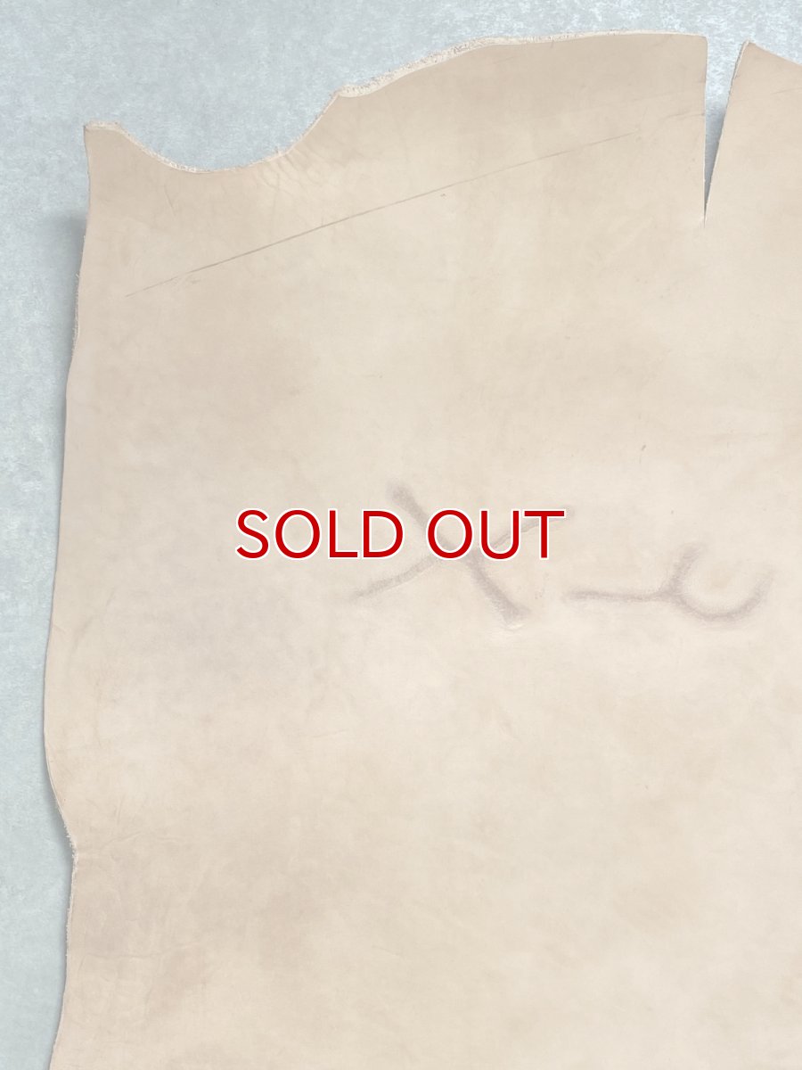 画像2: 牛革   ヌメ　昭南ベンズ　タンニンなめし　ピットヌメ (2)