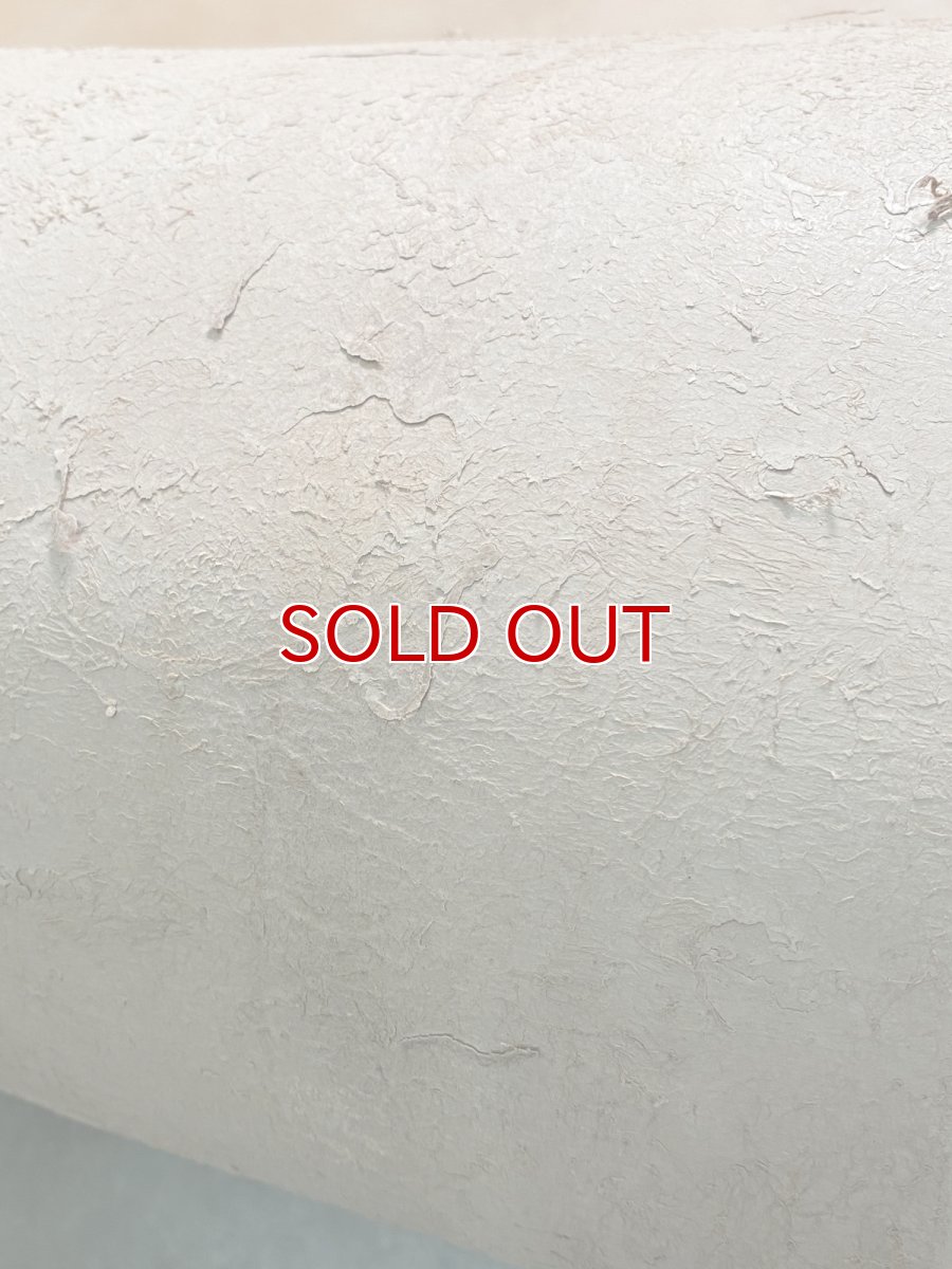 画像11: 牛革   ヌメ　昭南ベンズ　タンニンなめし　ピットヌメ (11)