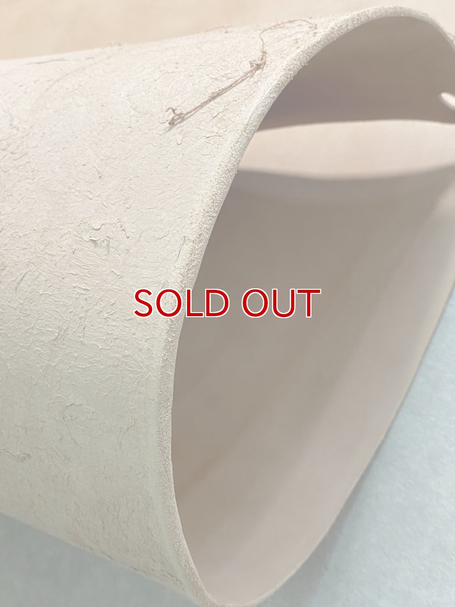 画像10: 牛革   ヌメ　昭南ベンズ　タンニンなめし　ピットヌメ (10)