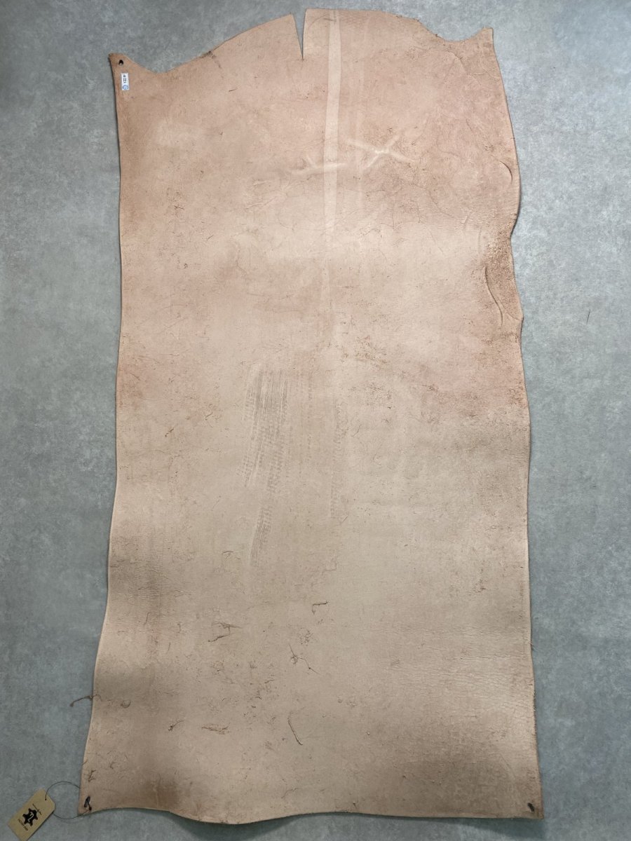 画像12: 牛革   ヌメ　昭南ベンズ　タンニンなめし　ピットヌメ (12)