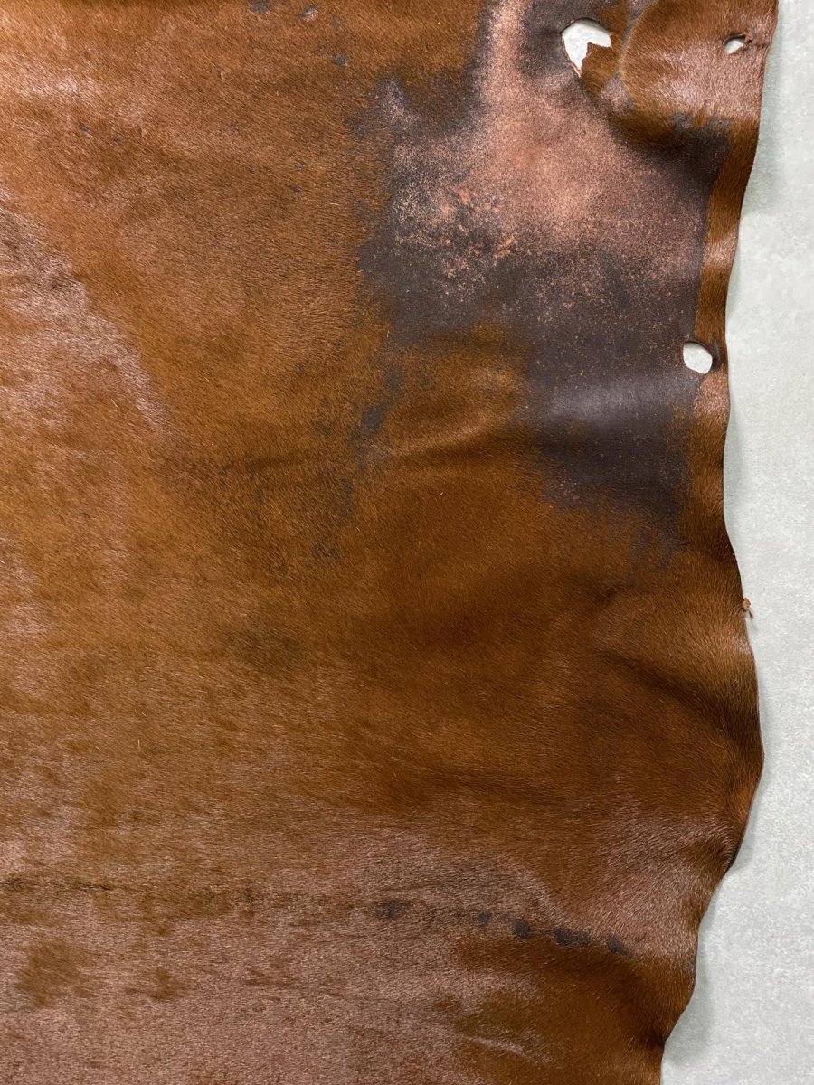 画像7: 牛 ヘアーカウ 赤茶 (7)