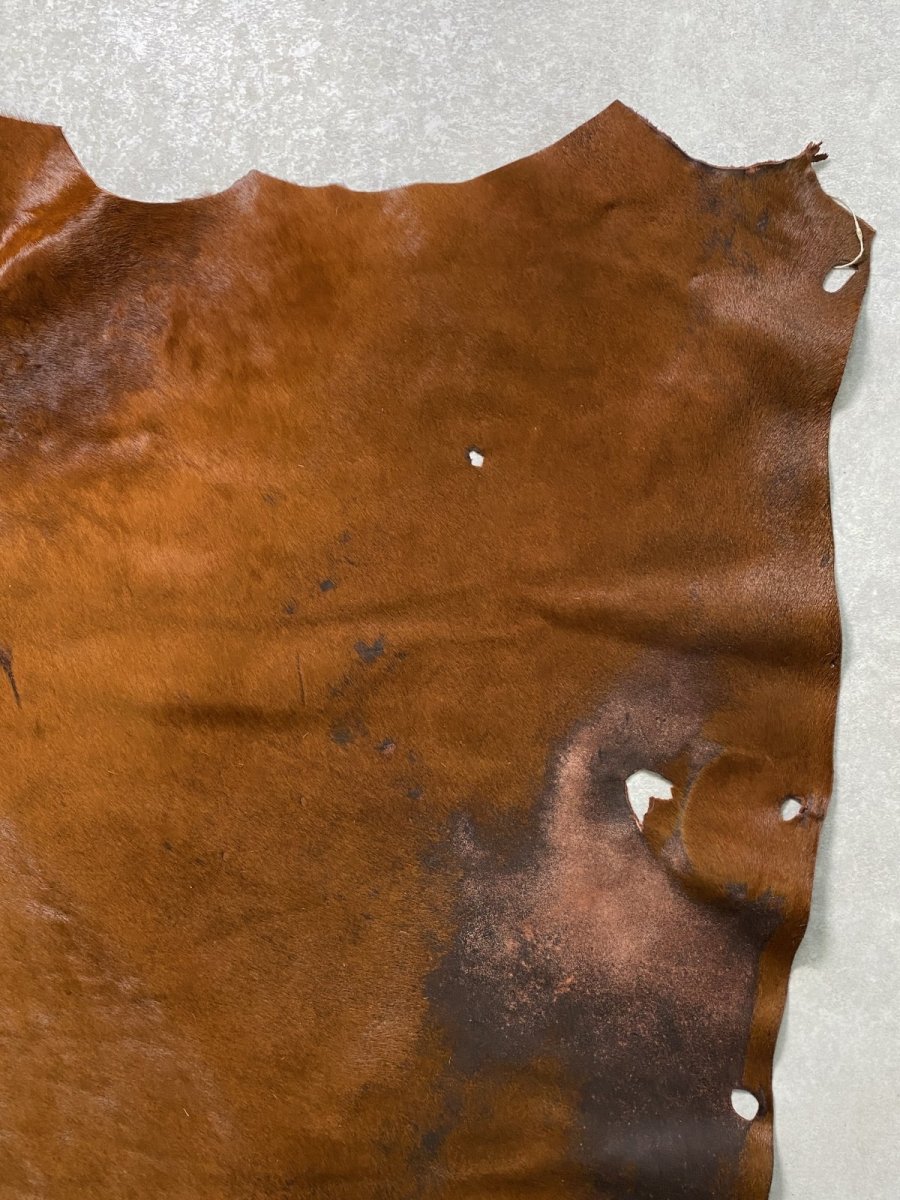 画像6: 牛 ヘアーカウ 赤茶 (6)
