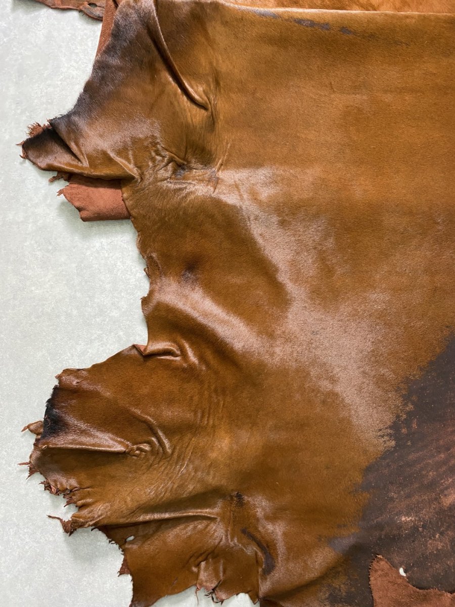 画像4: 牛 ヘアーカウ 赤茶 (4)
