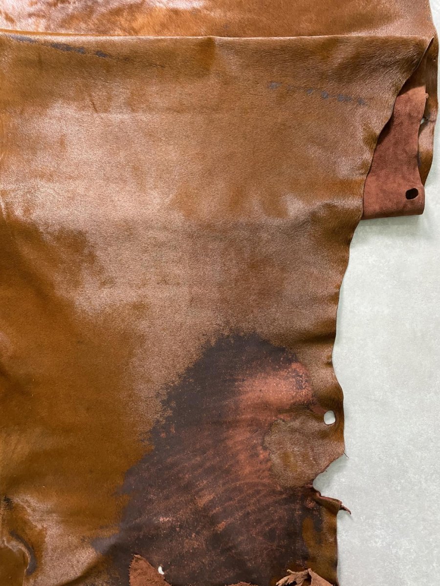 画像8: 牛 ヘアーカウ 赤茶 (8)