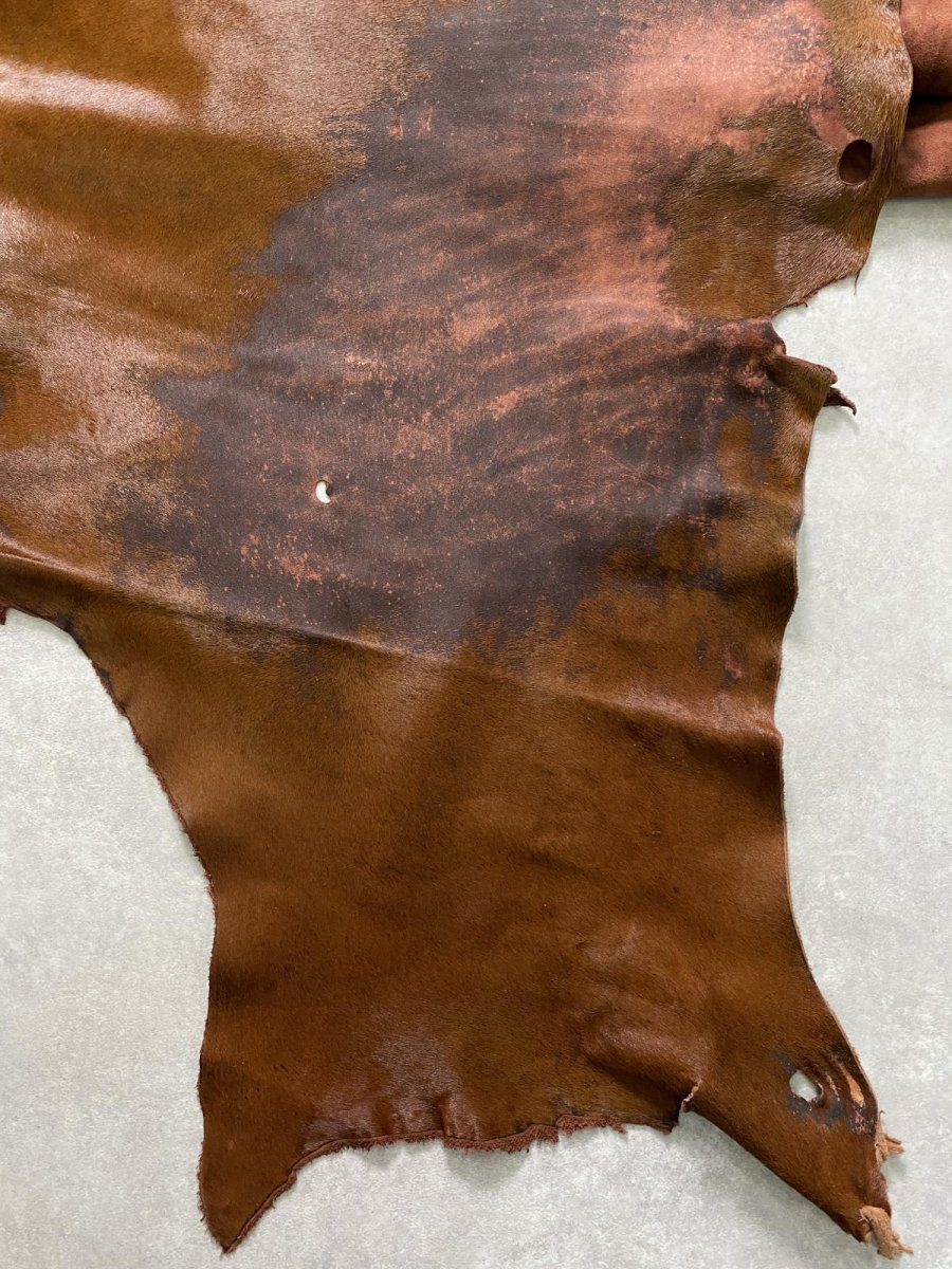 画像5: 牛 ヘアーカウ 赤茶 (5)