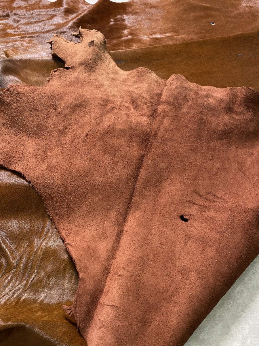 画像9: 牛 ヘアーカウ 赤茶 (9)