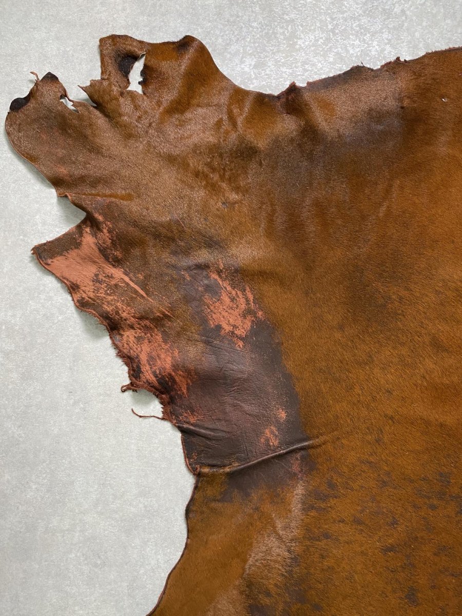 画像2: 牛 ヘアーカウ 赤茶 (2)