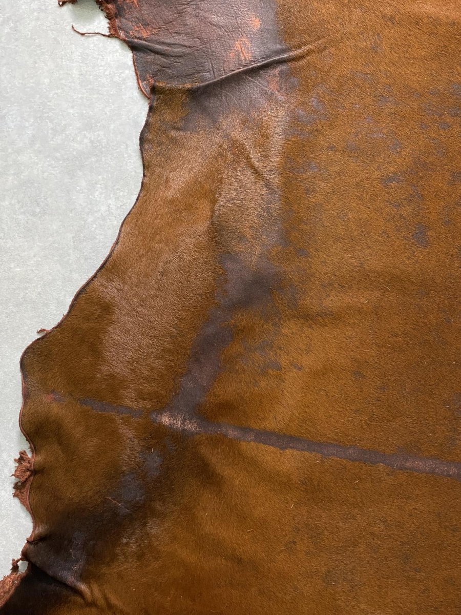 画像3: 牛 ヘアーカウ 赤茶 (3)