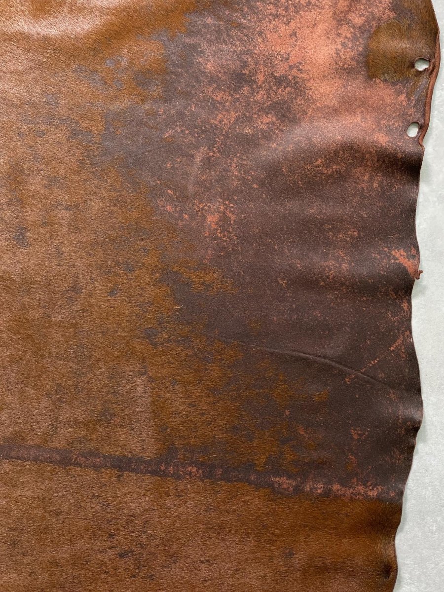 画像6: 牛 ヘアーカウ 赤茶 (6)