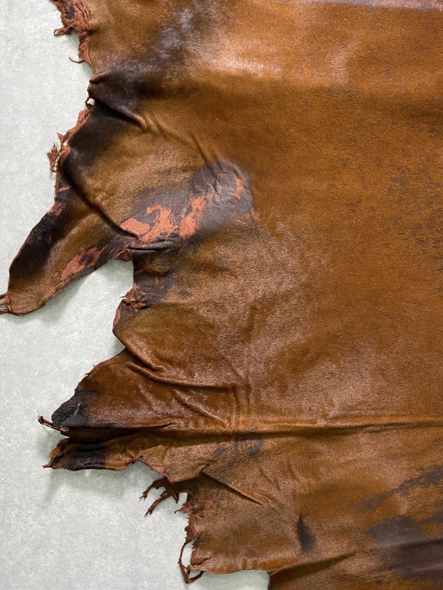 画像4: 牛 ヘアーカウ 赤茶 (4)