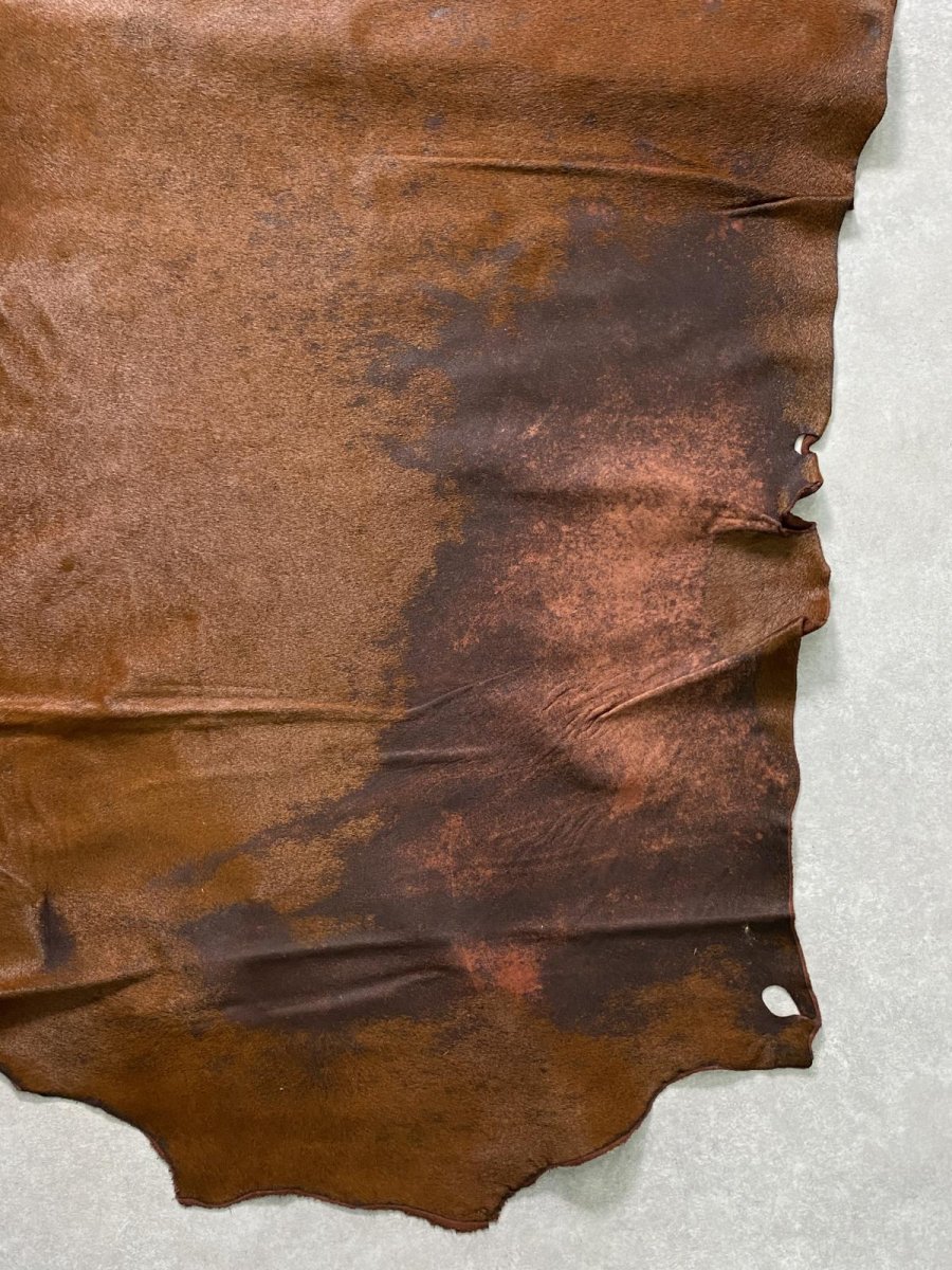 画像7: 牛 ヘアーカウ 赤茶 (7)