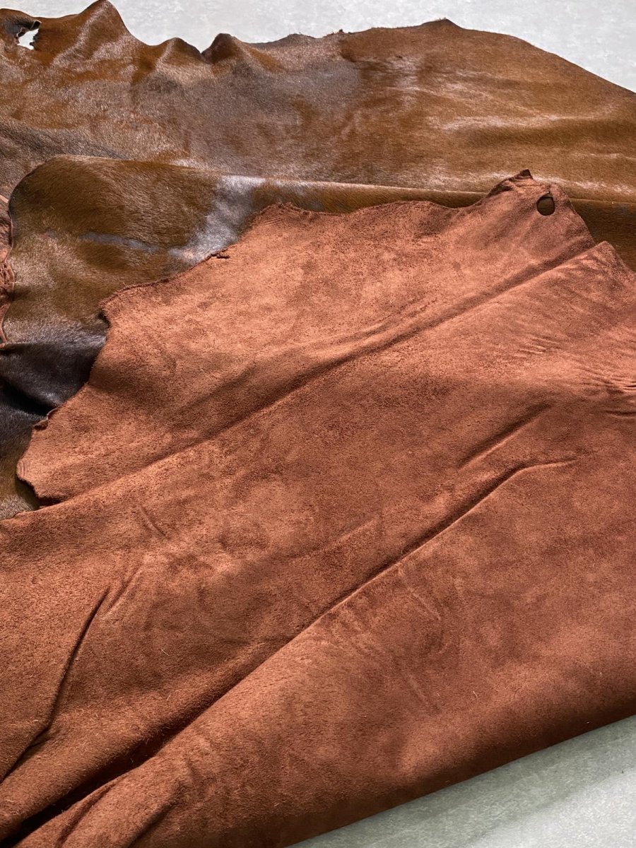 画像8: 牛 ヘアーカウ 赤茶 (8)