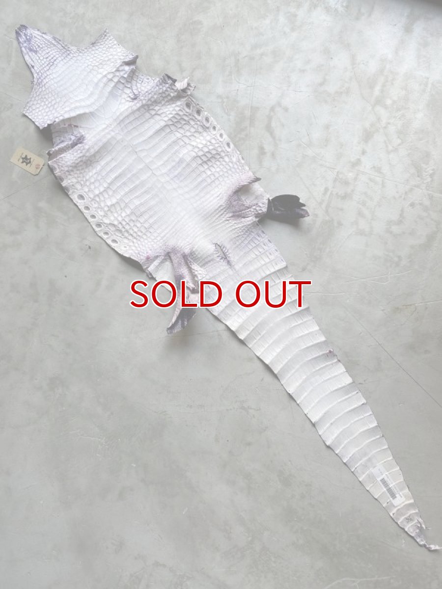 画像5: クロコダイル　パープル (5)