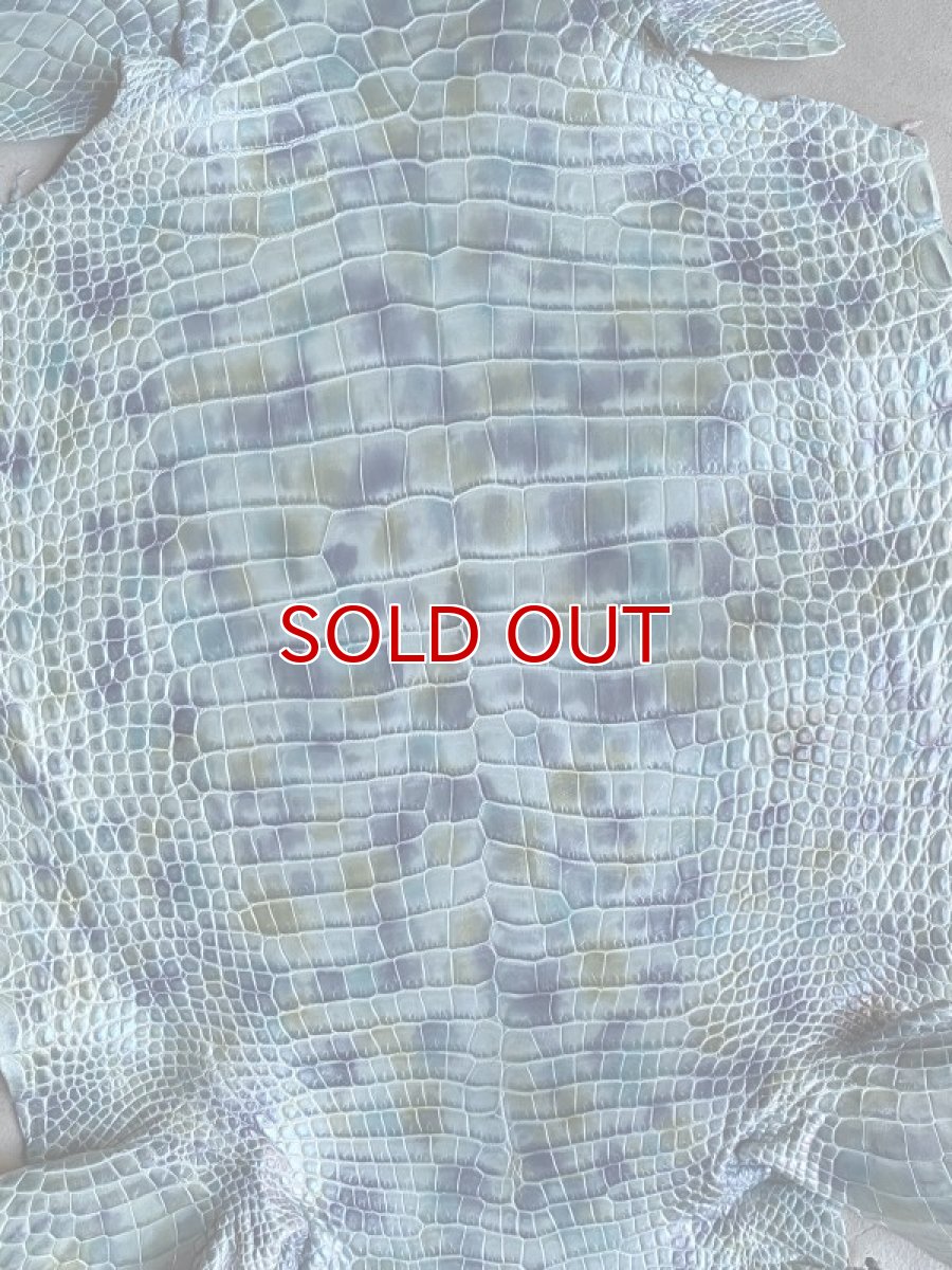 画像2: スモールクロコ　シェルパールレインボー　ブルー　33 (2)