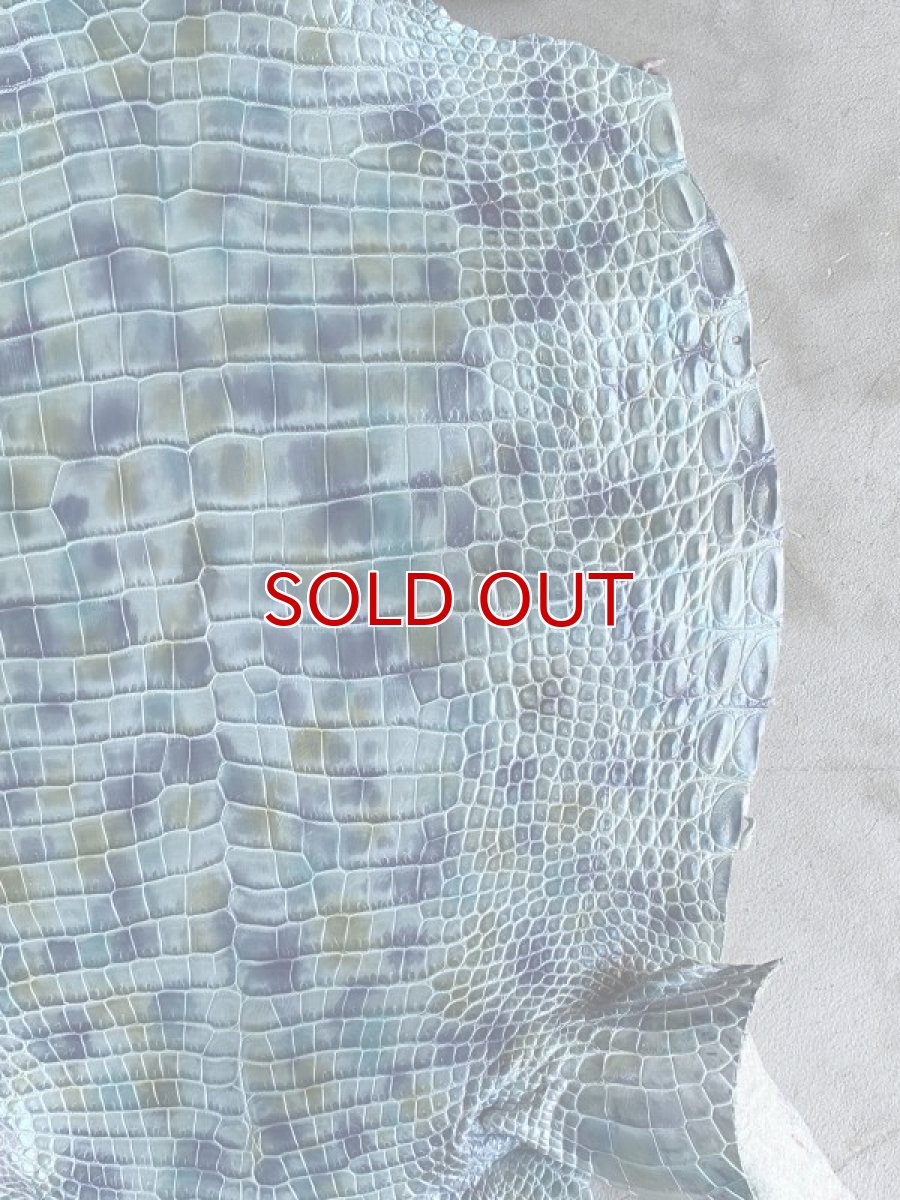 画像4: スモールクロコ　シェルパールレインボー　ブルー　33 (4)