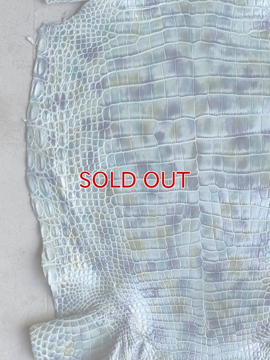 画像5: スモールクロコ　シェルパールレインボー　ブルー　33 (5)